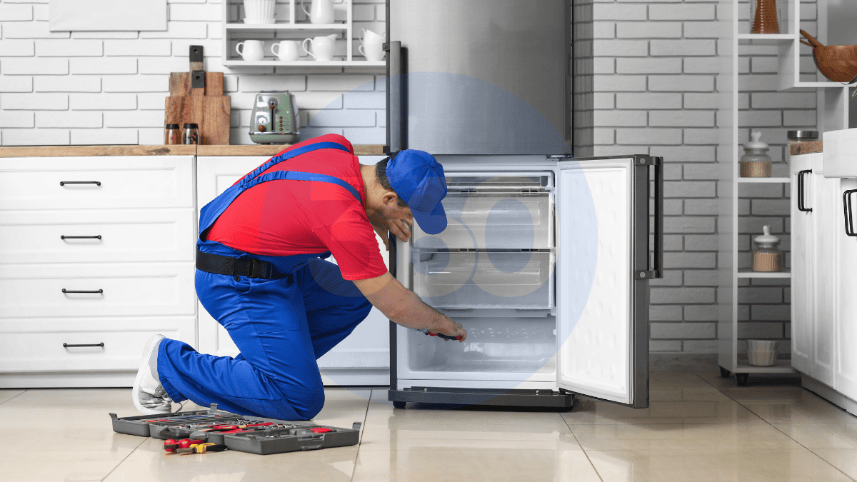 Kurucaşile Buzdolabı Servisi